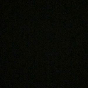 Meet your Posher, Ella